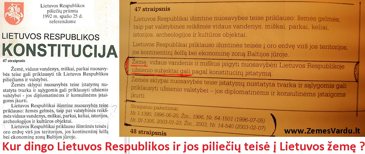 Konstitucija1992-2003